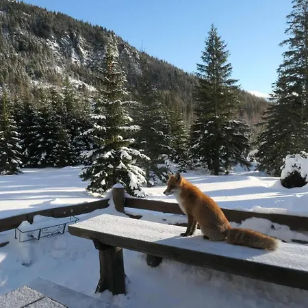 Tatra Diamond 70m2 V Centre * Poprad